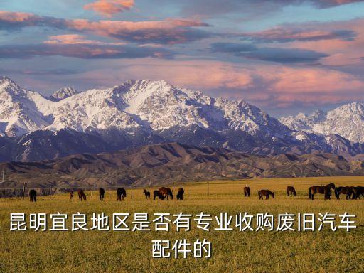 昆明宜良地区是否有专业收购废旧汽车配件的