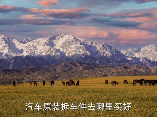 汽车原装拆车件去哪里买好