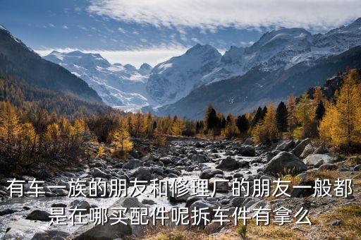 有车一族的朋友和修理厂的朋友一般都是在哪买配件呢拆车件有拿么