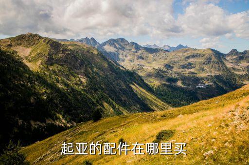 起亚的配件在哪里买