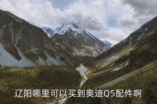 辽阳哪里可以买到奥迪Q5配件啊