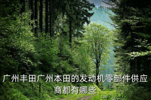 广州丰田广州本田的发动机零部件供应商都有哪些