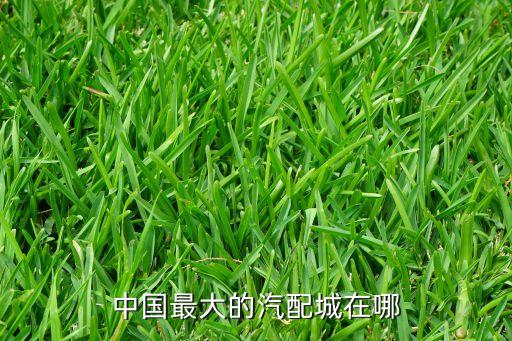 中国最大汽车配件市场，中国最大的汽配城在哪