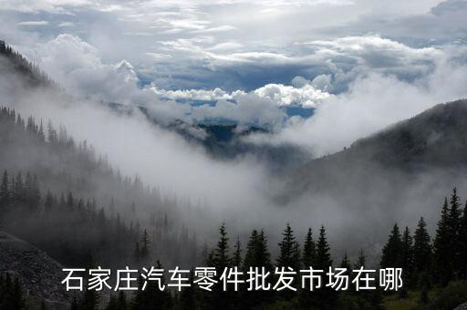 石家庄汽车零件批发市场在哪