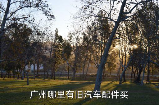 大朗华南汽配城拆车件，广东东莞哪里有大巴汽车配件卖请给出详细的答案谢谢