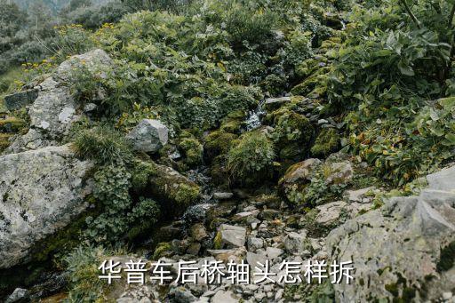 华普车后桥轴头怎样拆