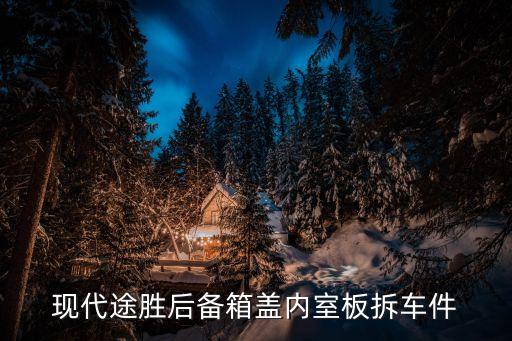 现代途胜后备箱盖内室板拆车件
