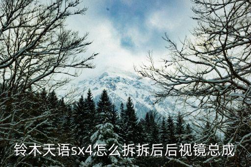 铃木天语sx4怎么拆拆后后视镜总成