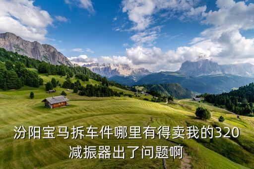 汾阳宝马拆车件哪里有得卖我的320减振器出了问题啊