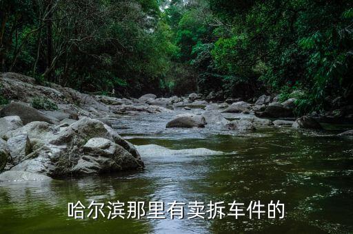 哈尔滨那里有卖拆车件的