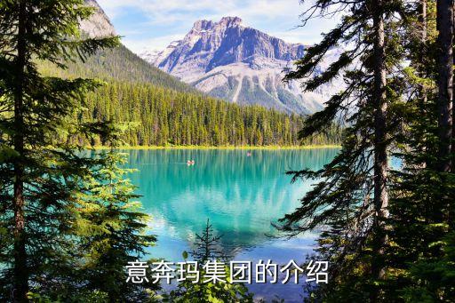 意奔玛集团的介绍