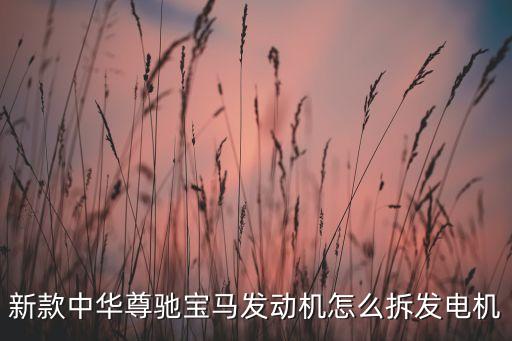 新款中华尊驰宝马发动机怎么拆发电机