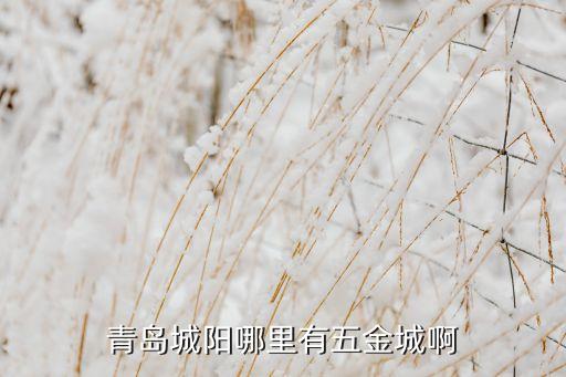 青岛城阳哪里有五金城啊