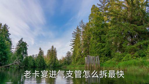 老卡宴进气支管怎么拆最快
