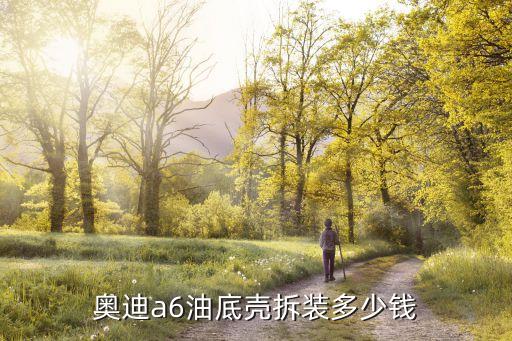 北京奥迪a6拆车件，奥迪a6拆车件是什么奥迪a6拆车件