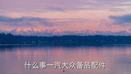 什么事一汽大众备品配件