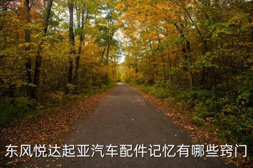 东风悦达起亚汽车配件记忆有哪些窍门