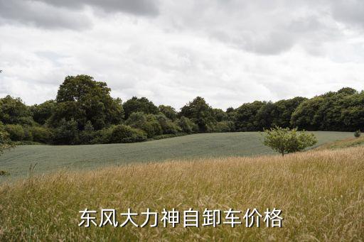 东风大力神自卸车价格