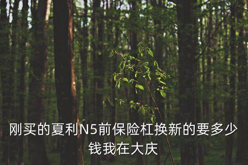 刚买的夏利N5前保险杠换新的要多少钱我在大庆
