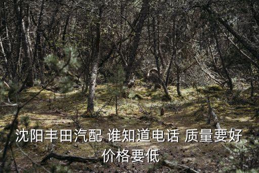 沈阳丰田汽配 谁知道电话 质量要好 价格要低