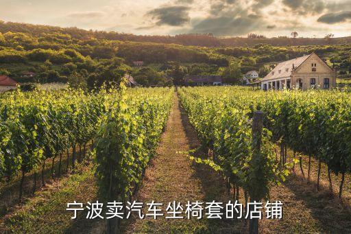 宁波卖汽车坐椅套的店铺