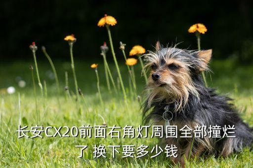 长安CX20前面右角灯周围全部撞烂了 换下要多少钱