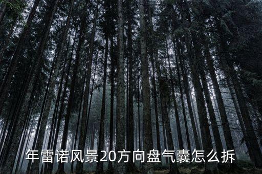 年雷诺风景20方向盘气囊怎么拆