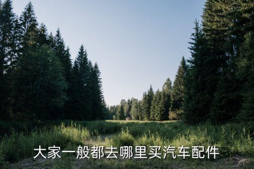 大家一般都去哪里买汽车配件