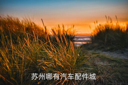 苏州哪有汽车配件城