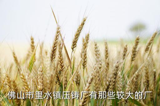佛山市里水镇压铸厂有那些较大的厂