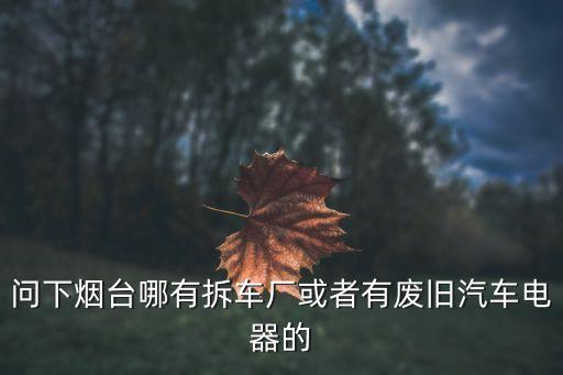 烟台拆车件，问下烟台哪有拆车厂或者有废旧汽车电器的