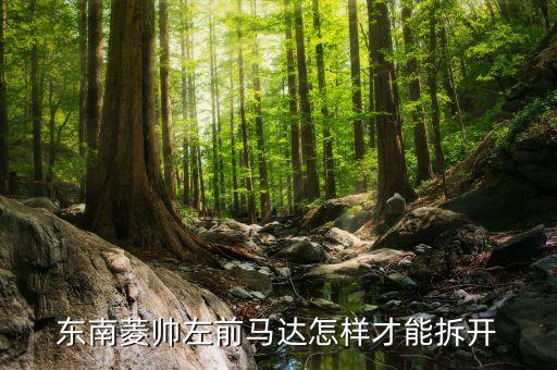 东南菱帅左前马达怎样才能拆开