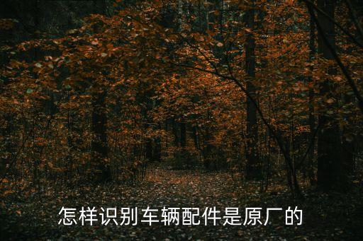 怎样识别车辆配件是原厂的