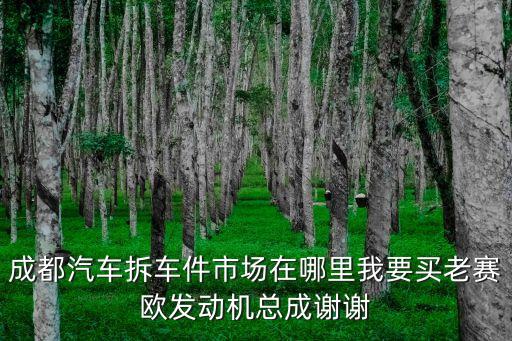 成都汽车拆车件市场在哪里我要买老赛欧发动机总成谢谢