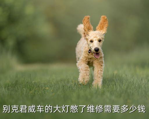 别克君威车的大灯憋了维修需要多少钱