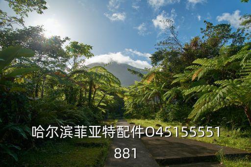 哈尔滨菲亚特配件O45155551881