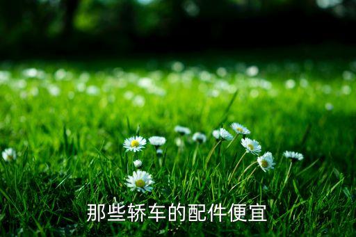 那些轿车的配件便宜