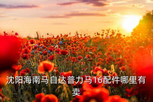 沈阳海南马自达普力马16配件哪里有卖