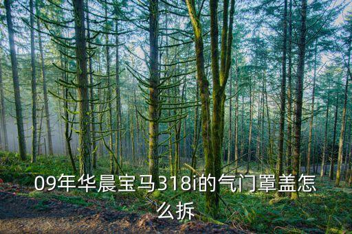 09年华晨宝马318i的气门罩盖怎么拆