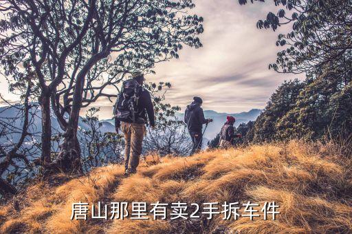 唐山那里有卖2手拆车件