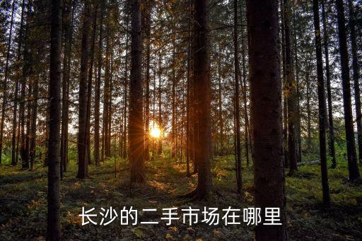 长沙的二手市场在哪里