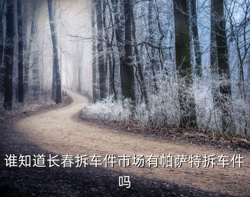 谁知道长春拆车件市场有帕萨特拆车件吗