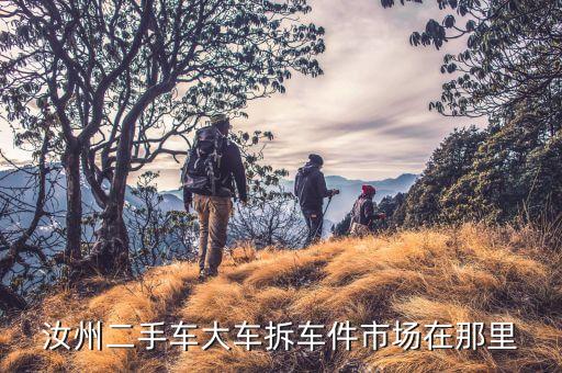 专业货车拆车件，汝州二手车大车拆车件市场在那里