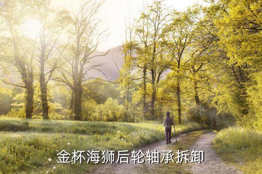 金杯海狮后轮轴承拆卸