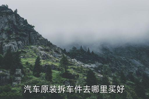汽车原装拆车件去哪里买好
