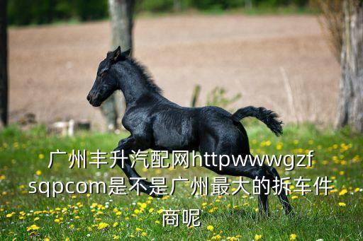 广州丰升汽配网httpwwwgzfsqpcom是不是广州最大的拆车件商呢