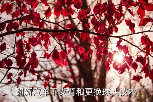翻新汽车下支臂和更换球头技术