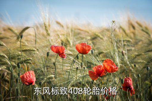 东风标致408轮胎价格