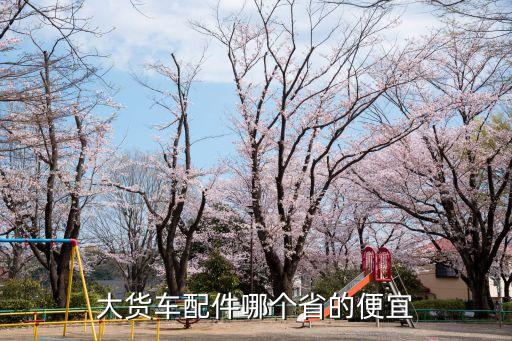 大货车配件哪个省的便宜
