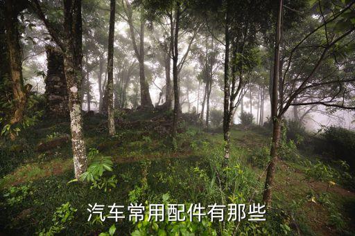 汽车常用配件有那些